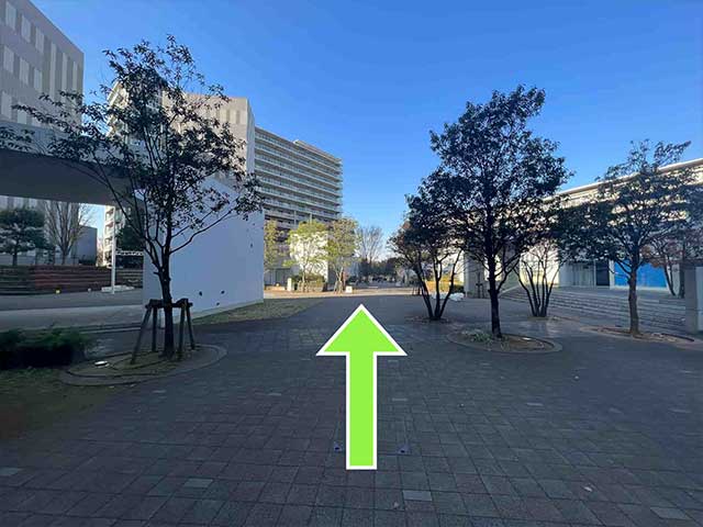 左に広場が見えてくるので真っすぐ進む